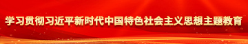 骚妇网址学习贯彻习近平新时代中国特色社会主义思想主题教育